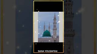 metha metha hen mery Mohammed ka name||beautiful Naat Status||best Islamic Status,, 💖💐