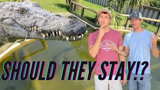 How Are The NILE CROCODILES Doing In Their New Pond?!?!