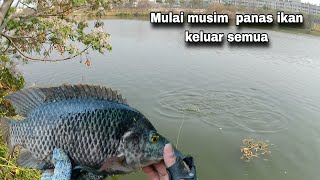 Kalau Sudah Musim Panas Semua Ikan Bergelombol Cari Tempat Yang Adem