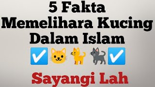 Mengetahui 5 fakta memelihara kucing dalam islam