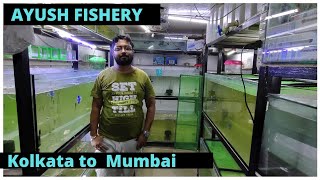 Ayush Fishery || Kolkata Farm shop in Mumbai|| Aquarium fishes || Goldfish || Koi || Silver Dollar