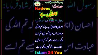 Islamic ¦ رسول ﷲ ﷺ نے ارشاد فرمایا احسان یہ ہے کہ تم ﷲ کی عبادت اس طرح کرو جیسے تم اسے دیکھ رہے ہو