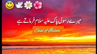 Peer Ajmal Raza Qadri emotional bayan short clip🌺|Soul of Islam|Heart touching bayan|whatsapp status