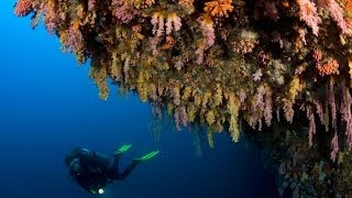 As 16 "Áreas Marinhas Protegidas" de Portugal