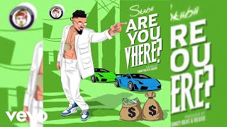 Skiibii - Are You Vhere (Official Audio)