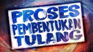 Proses Pembentukan Tulang