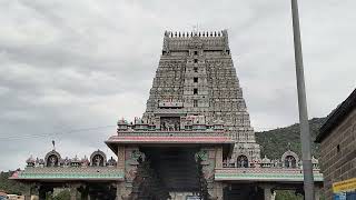 திருவண்ணாமலை || tiruvannamalai || அண்ணாமலையார் கோயில் || #tiruvannamalai #annamalaiyartemple  #live