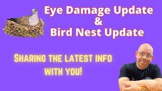 WHAT IS GOING ON WITH MY HEALTH? EYE DAMAGE AND NESTING BIRDS UPDATE