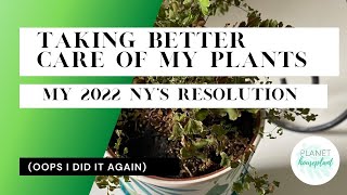 My New Year's Resolution (to take better care of my plants)