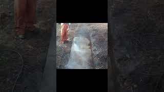 Pressure washing a filthy concrete walkway #pressurewashing #oddlysatisfyingvideo #diy