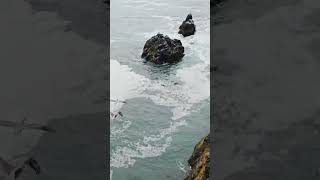 Sneak peek flying along the coast #drone #oregon #ocean #shorts