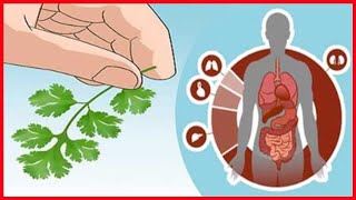 Questa ricetta tratta e cura i reni, il pancreas, il fegato e l’ansia. Inoltre - Italy365