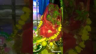 tulsi mata vivah #tulsi vivah #shaligram tulsi vivah #dev diwali #kartik purinima#kashi #shortsfeed