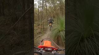 Lush bushland #dirtbike