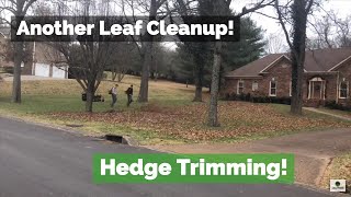 Another Leaf Cleanup and Some Hedge Trimming!