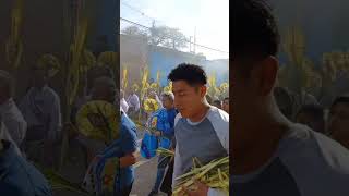 Domingo de Ramos en Santiago Apóstol Ocotlán Oaxaca