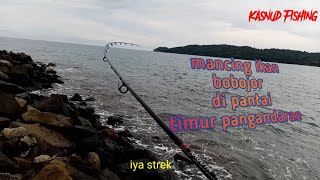 Mancing pinggiran||mancing ikan bobojor