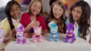 Zoomer | Meowzies | Newest Cats With Style! | TV Commercial