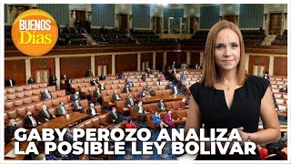 Gaby Perozo analiza la posible Ley Bolivar