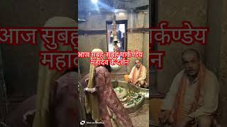 आज सुबह ही भोले नाथ का दर्शन #margdarshan #navratri #trending #shortvideo