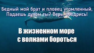 В жизненном море с волнами бороться / Рома Троцковець / Христианские песни / Песнь Возрождения 577