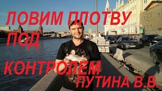 Красная площадь. Плотва на тинку.