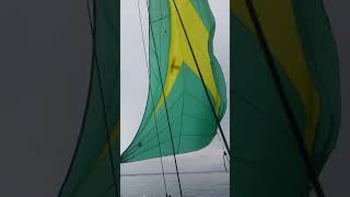 Prindle 19 Spinnaker testing