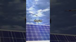 2030  The Dawn of Renewable Energy