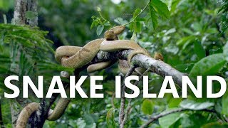 Mysterious Island | World's Most Deadly Island | brazil