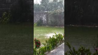 Heavy Rain