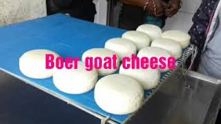 Goat cheese and boer kids