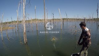 AQUI NÃO TEM VIAGEM PERDIDA! PESCARIA EM REPRESA. MUITO TUCUNARÉ, BICUDA E CACHORRA! Pesca esportiva