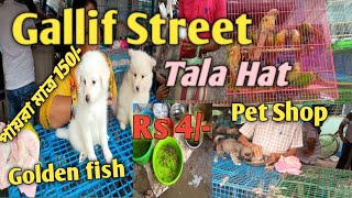 Gallif Street Largest Market in kolkata || Pet Market || Fish market || birds Market || Tala hat