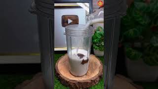 Chocolate shake #milkshake #shortsvideo #food#beverages