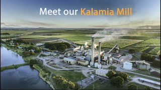 Meet our Kalamia Mill