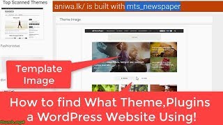 How to Find what Themes and Plugins a WordPress website use!