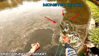 IKAN MONSTER KEBAL ❓❓❓|| SUJEN MENTAL KE ATAS