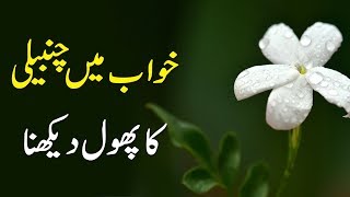 Khwab Mein Chameli Ka Phool Dekhnay Ki Tabeer - Interpretation of Jasmine Flower in Dream