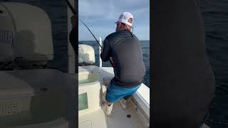 P1 tuna fishing