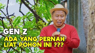 ANAK GEN Z, ADA YANG PERNAH LIAT POHON INI ??? || MASIH ADA LOH POHONYA DI KAMPUNG ABANG NARJI