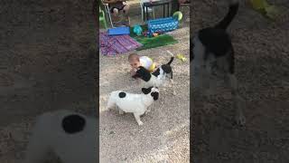 Cute Kid Playing With Dogs - The Most Adorable Moment EVER! #shorts