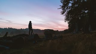 No Sleep For Busy Minds | 1 Hour Ambience | Songs For Sleeping