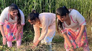 Beautiful Girl Vist Village Vlog | Pakistani Girl Daily Routine Work Vlog | Pakfamilyvlog Villag