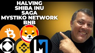 DE OLHO EM SHIBA INU - HALVING BITCOIN - AIR DROP SAGA BINANCE - MYSTIKO NETWORK PRÉ VENDA - CRIPTO