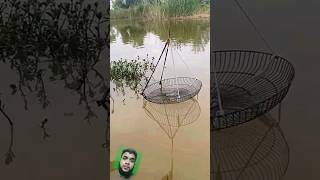 Fishing Video 🐠 মাছ ধরা দেখুন😱#shorts