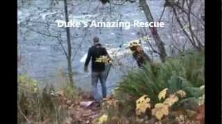 Duke's Amazing Rescue