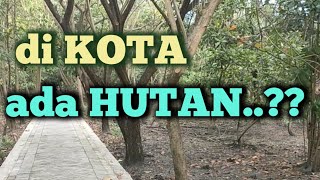 HUTAN KOTA BALAS KLUMPRIK SURABAYA || SIRIN HAFSA