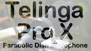 The Telinga Parabolic microphone dish 📡 review & test that’s neither, it’s more of a learning curve