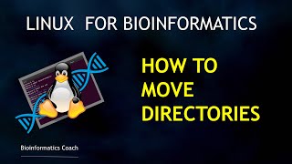 Linux for Beginners in Bioinformatics | How to move files and directories (mv)