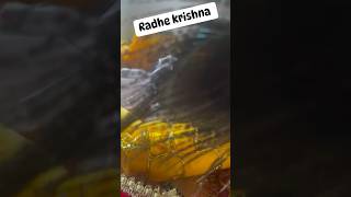 Krishna status |Morning darshan of Laddu gopal #shorts #laddugopal #krishna #shyam